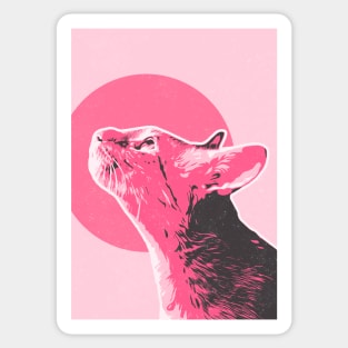 Cat Retro Art Sticker